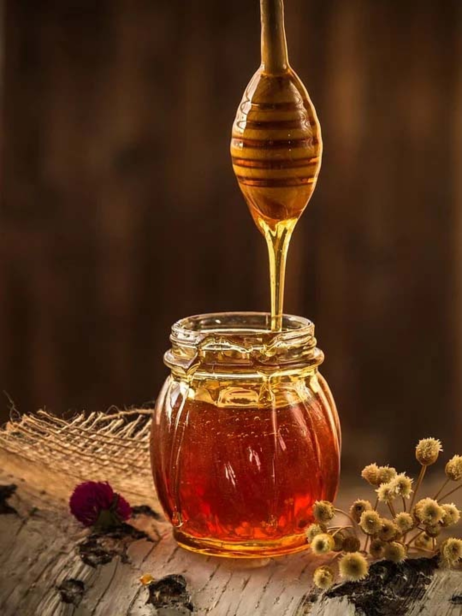 Visite de la fleur au pot – le chemin du miel.