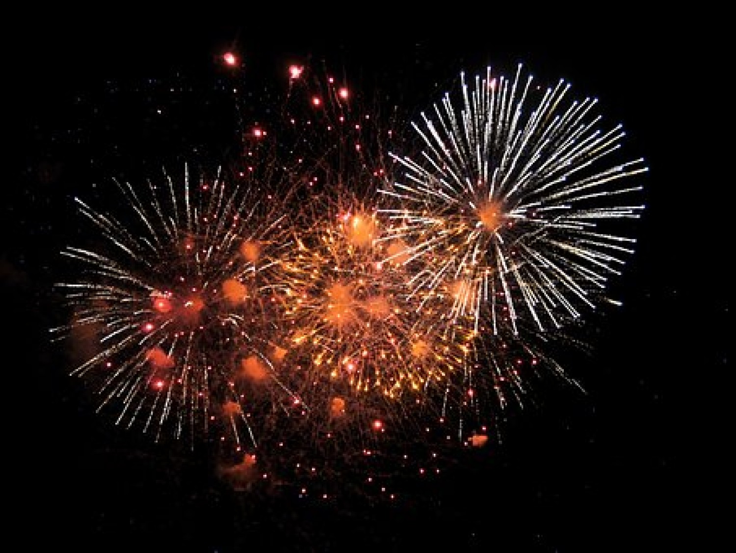 Feu d&rsquo;artifice et chavande