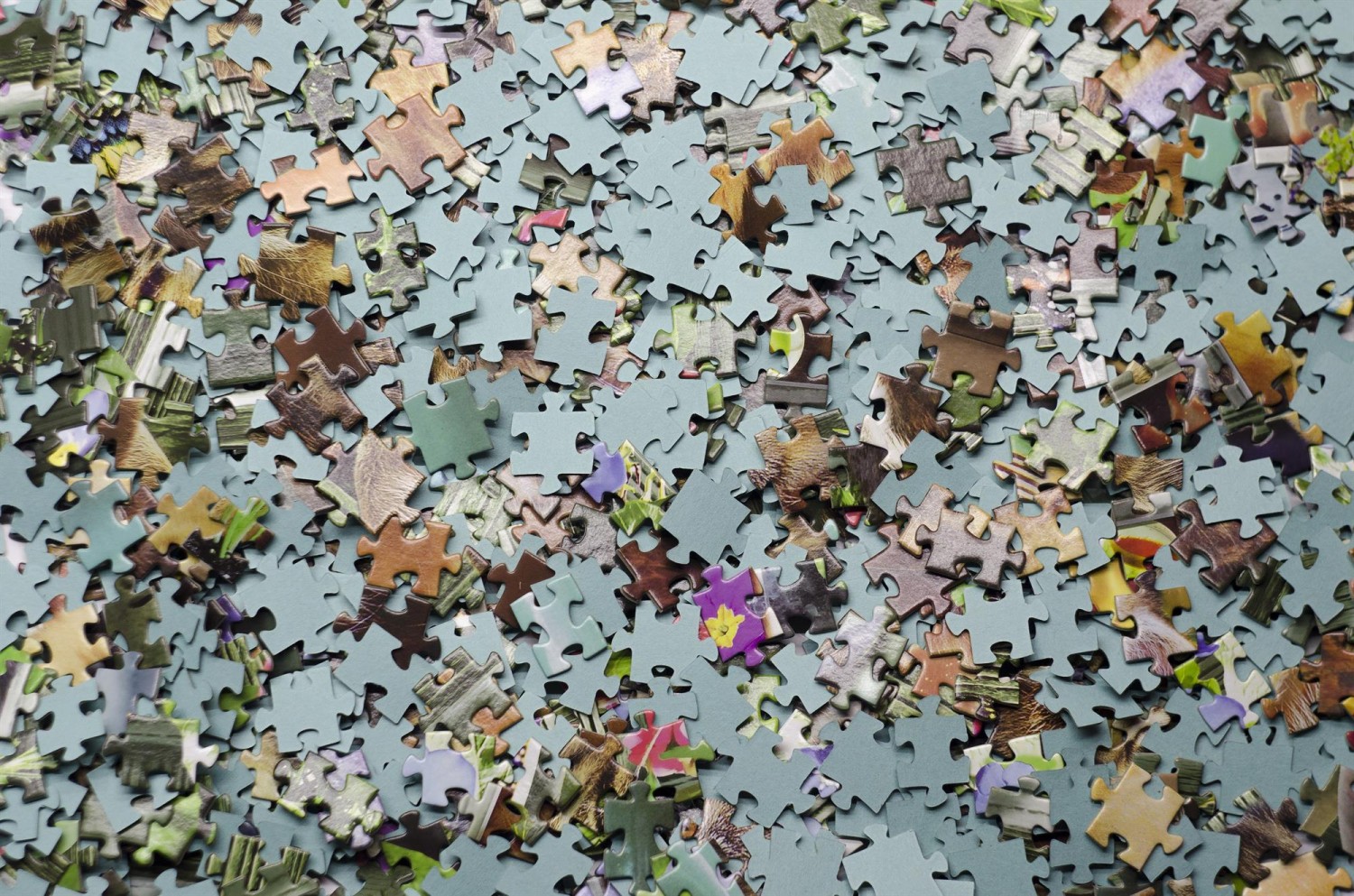 Concours de puzzle
